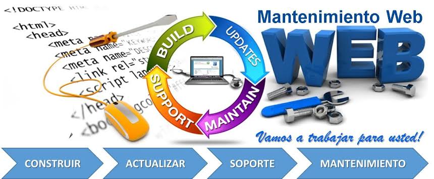 Profesional — ALEPSOL